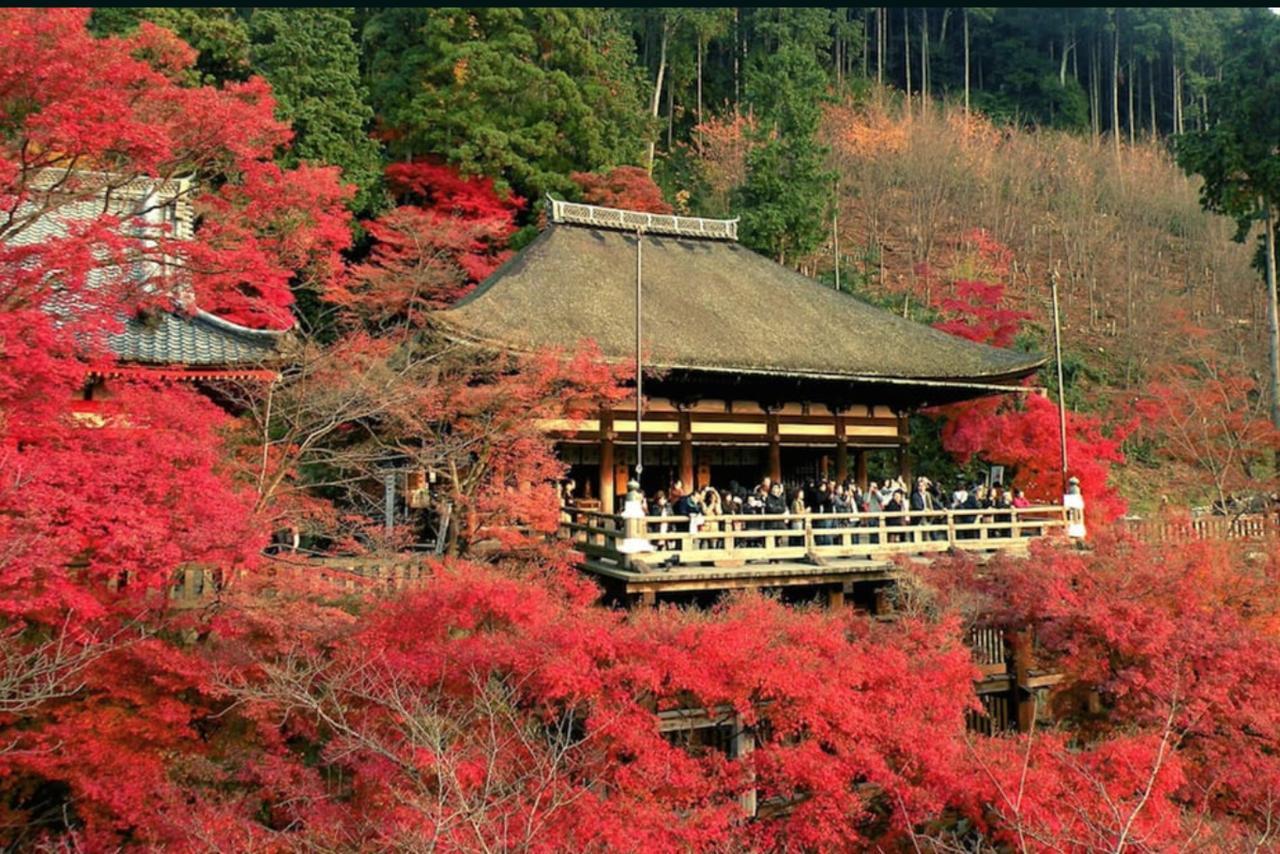 Hikigi Imperial Gardens * Kyoto